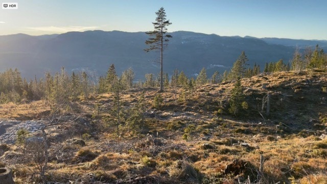 Bilde av utsikt (selgers bilde) Galleribilde