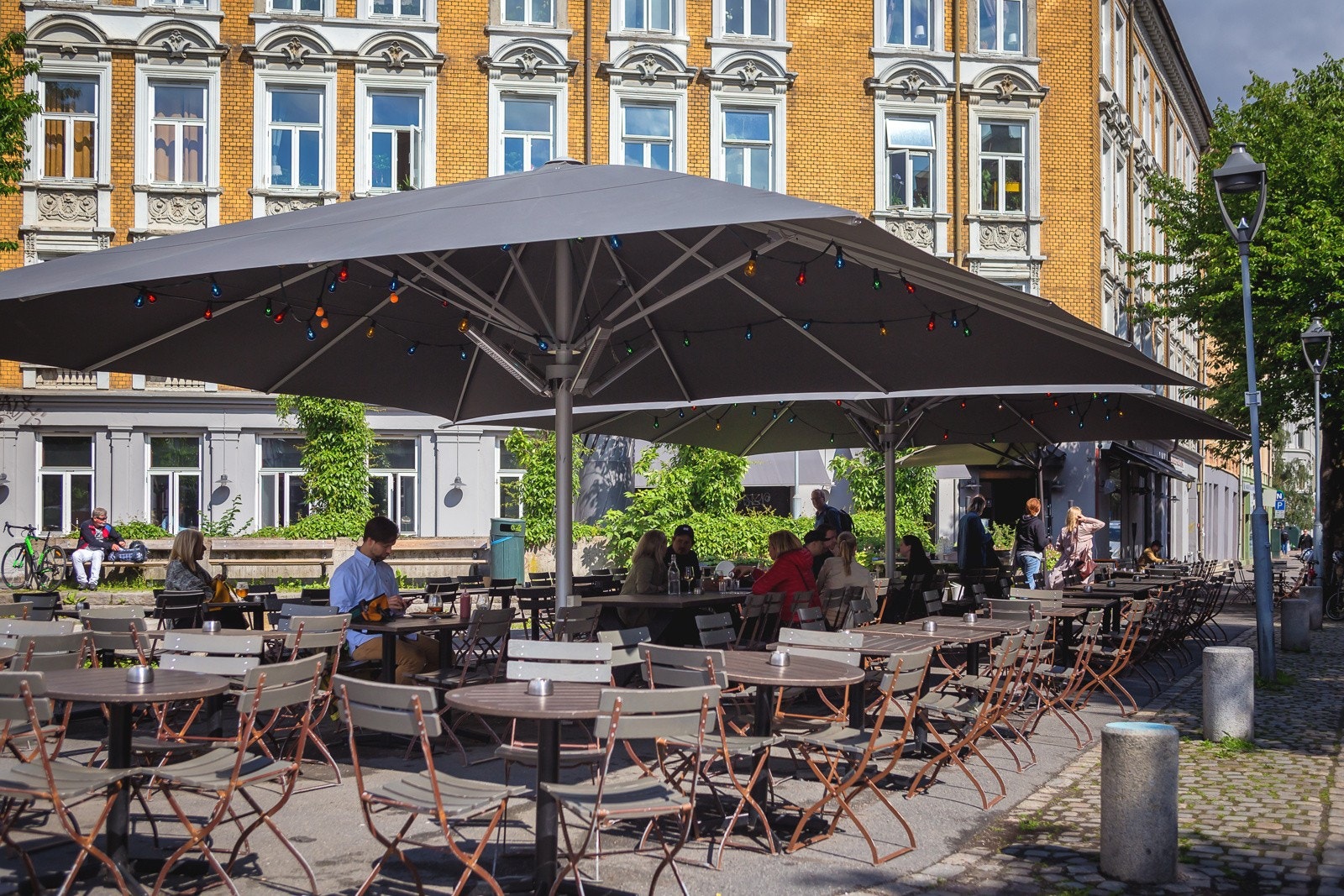 Det samme gjelder Grisen som har solen til langt ut på kveldstid. Galleribilde