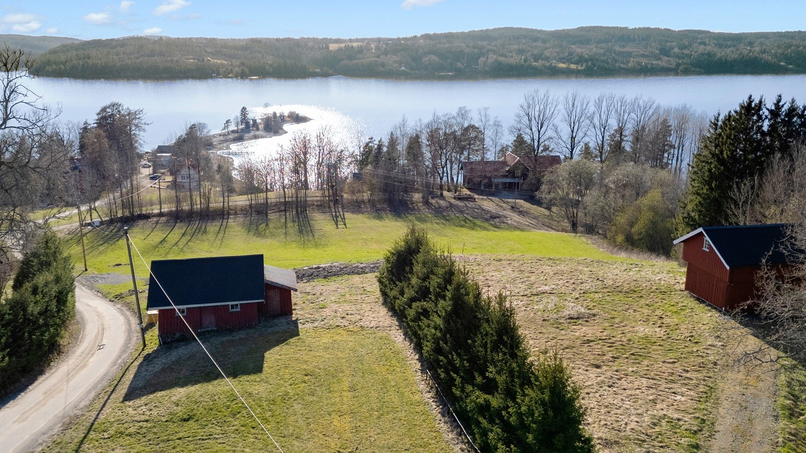 Oppe på tomten kan man følge med på det yrende livet på sommeren Galleribilde