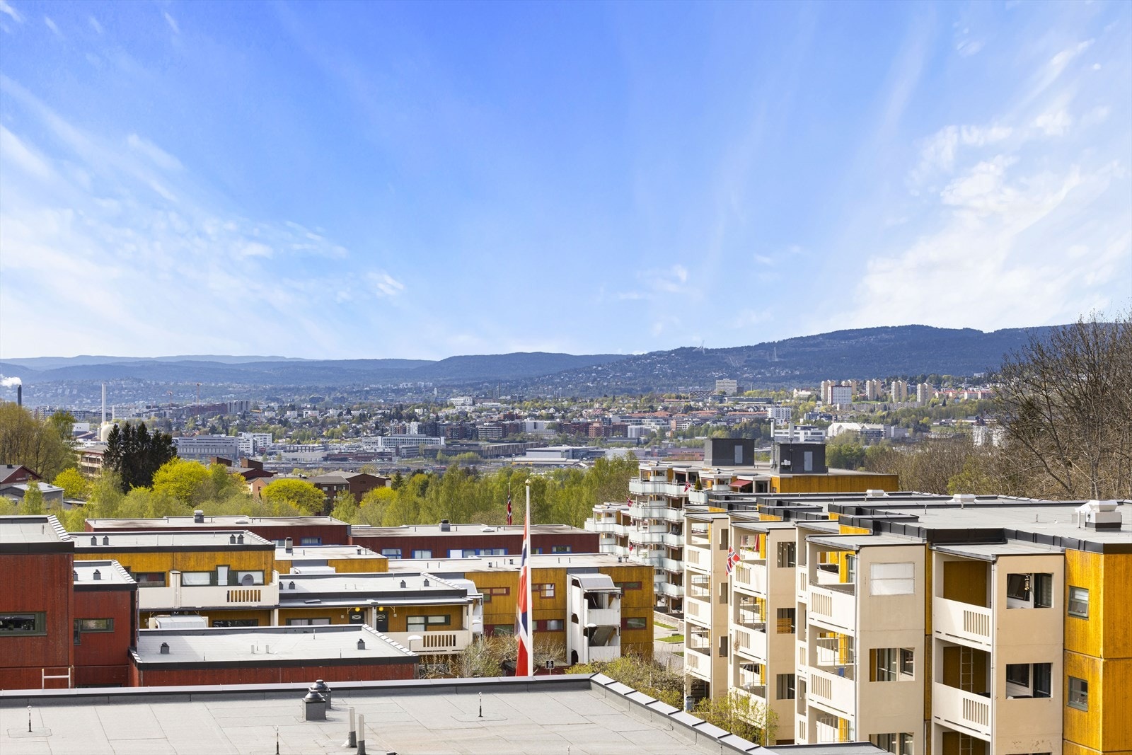 Herlig utsikt. Galleribilde