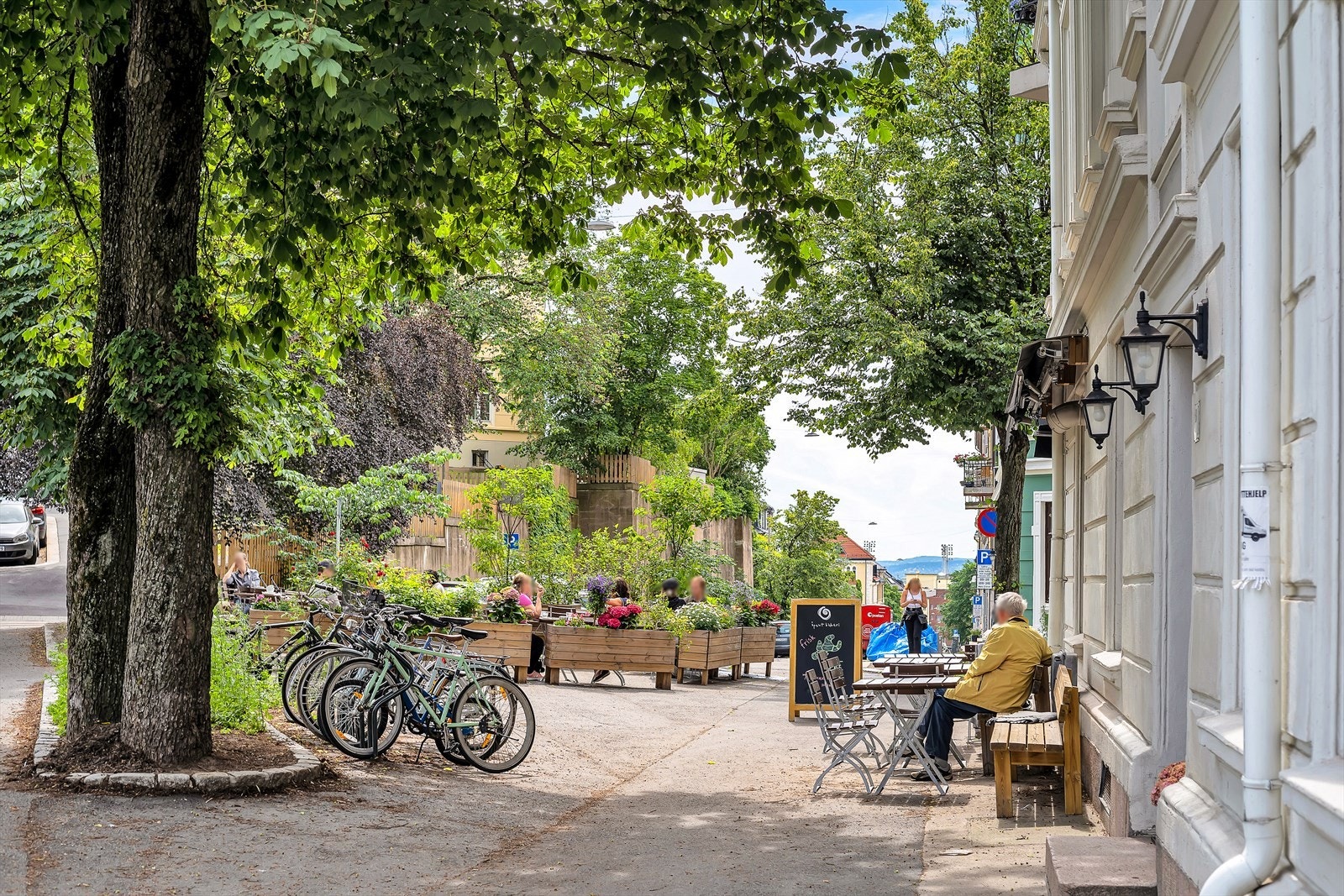 Nærområdet. Galleribilde