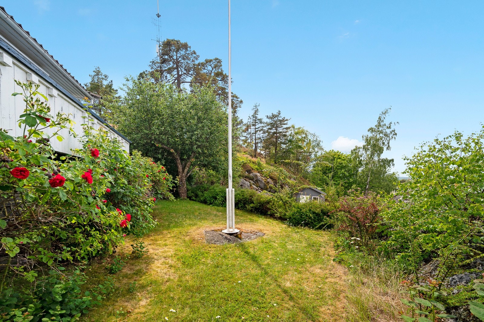 Hagen byr på god boltreplass for både to- og firbente. Galleribilde