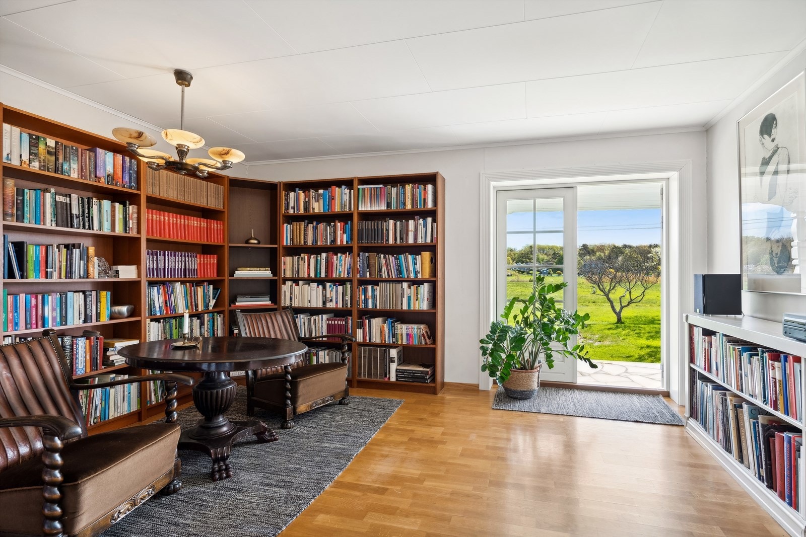 Bibliotek/stue med utgang til herlig terrasse. Galleribilde