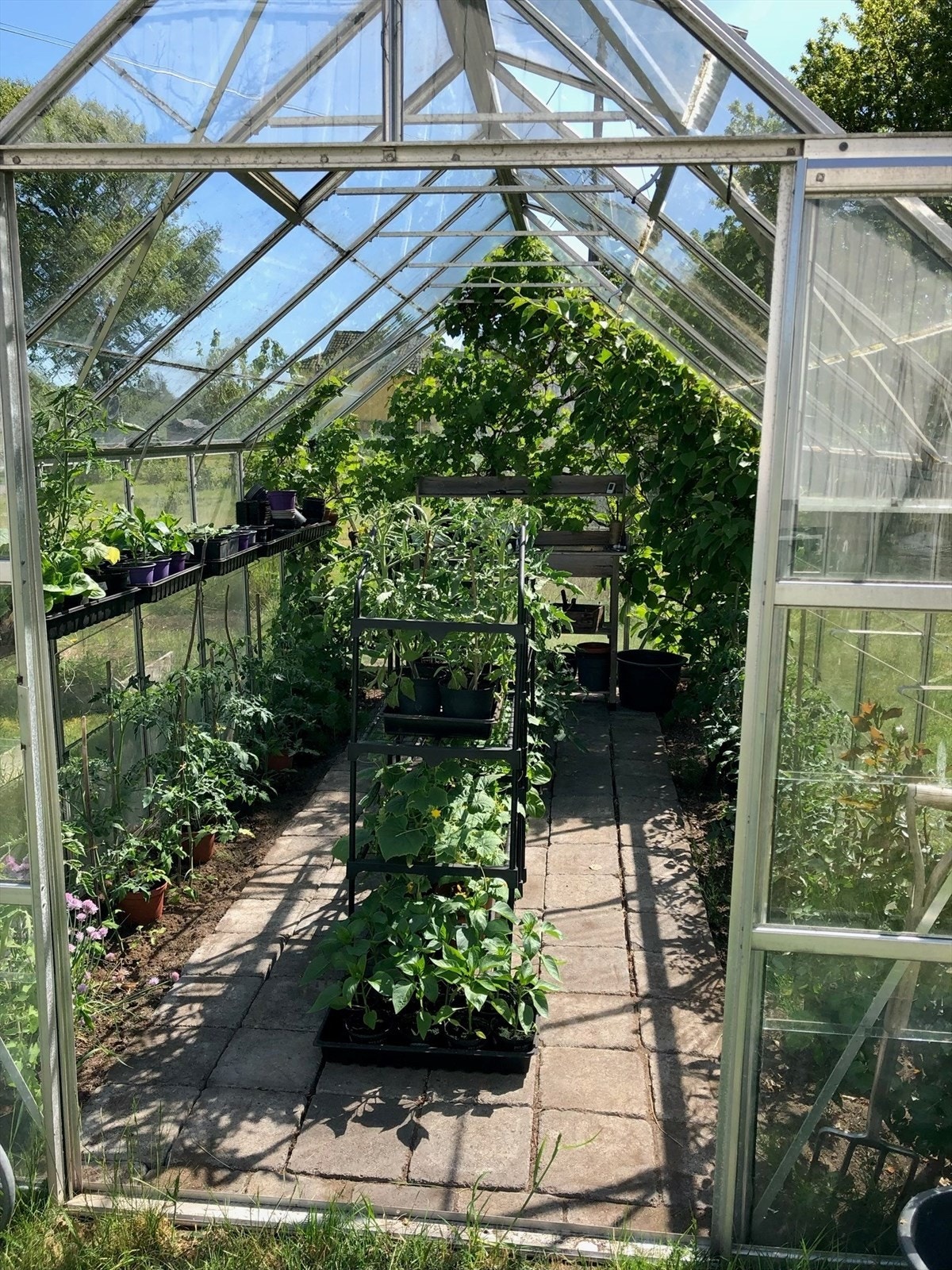 Drømmer du om å dyrke din egen mat?
(Selgers private bilde) Galleribilde