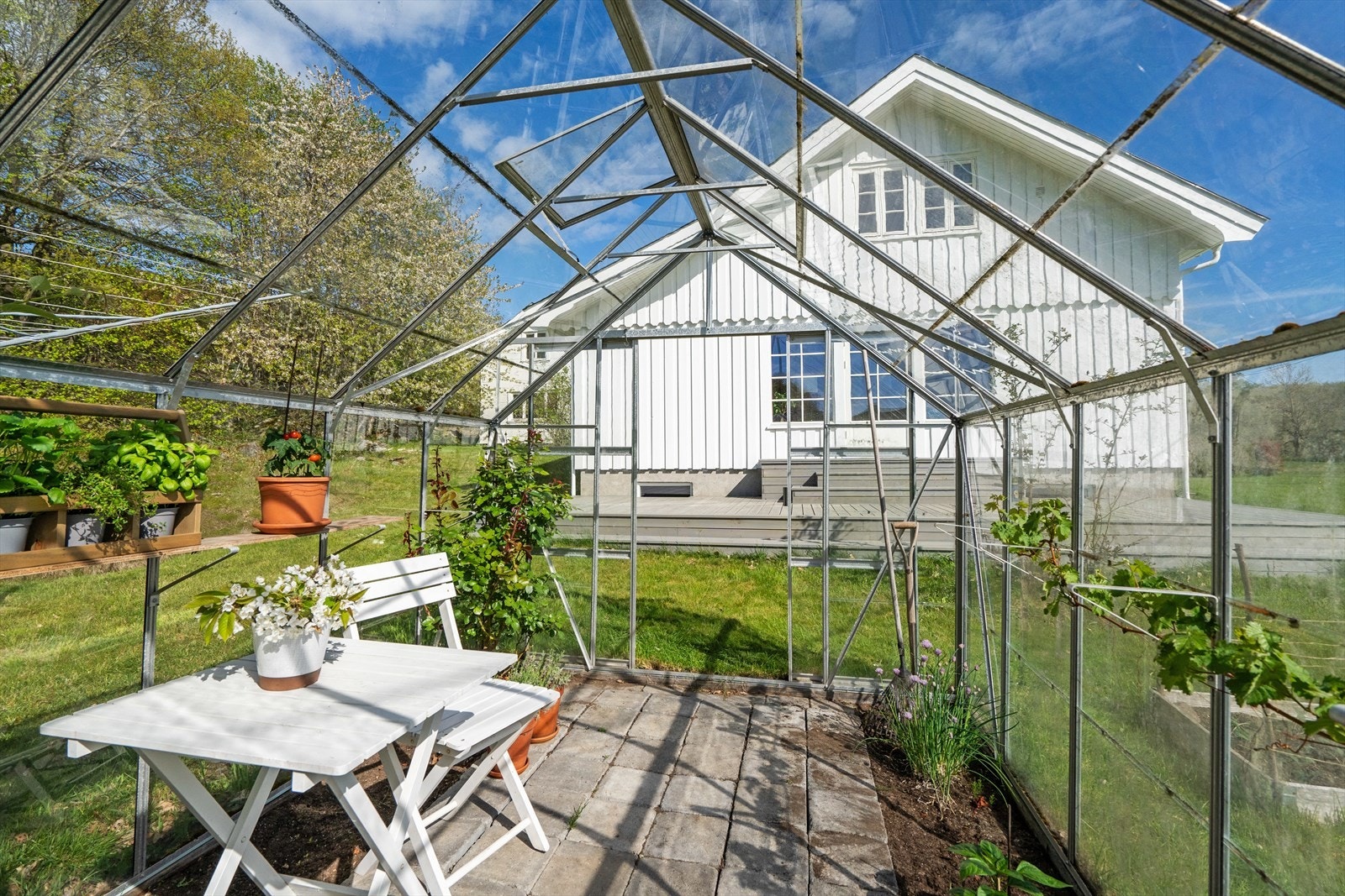 Drivhus medfølger eiendommen. Galleribilde