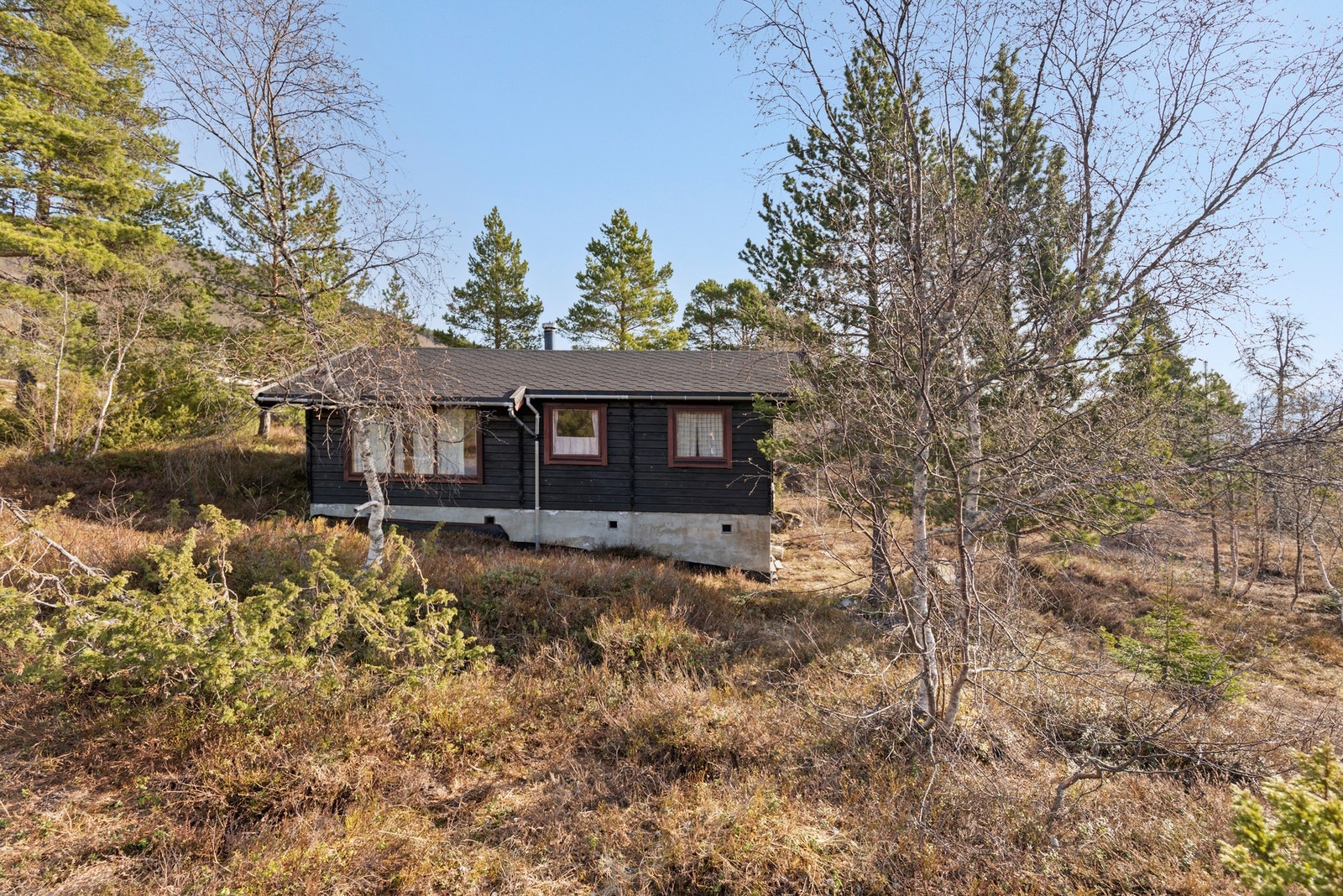 Fasade. Galleribilde