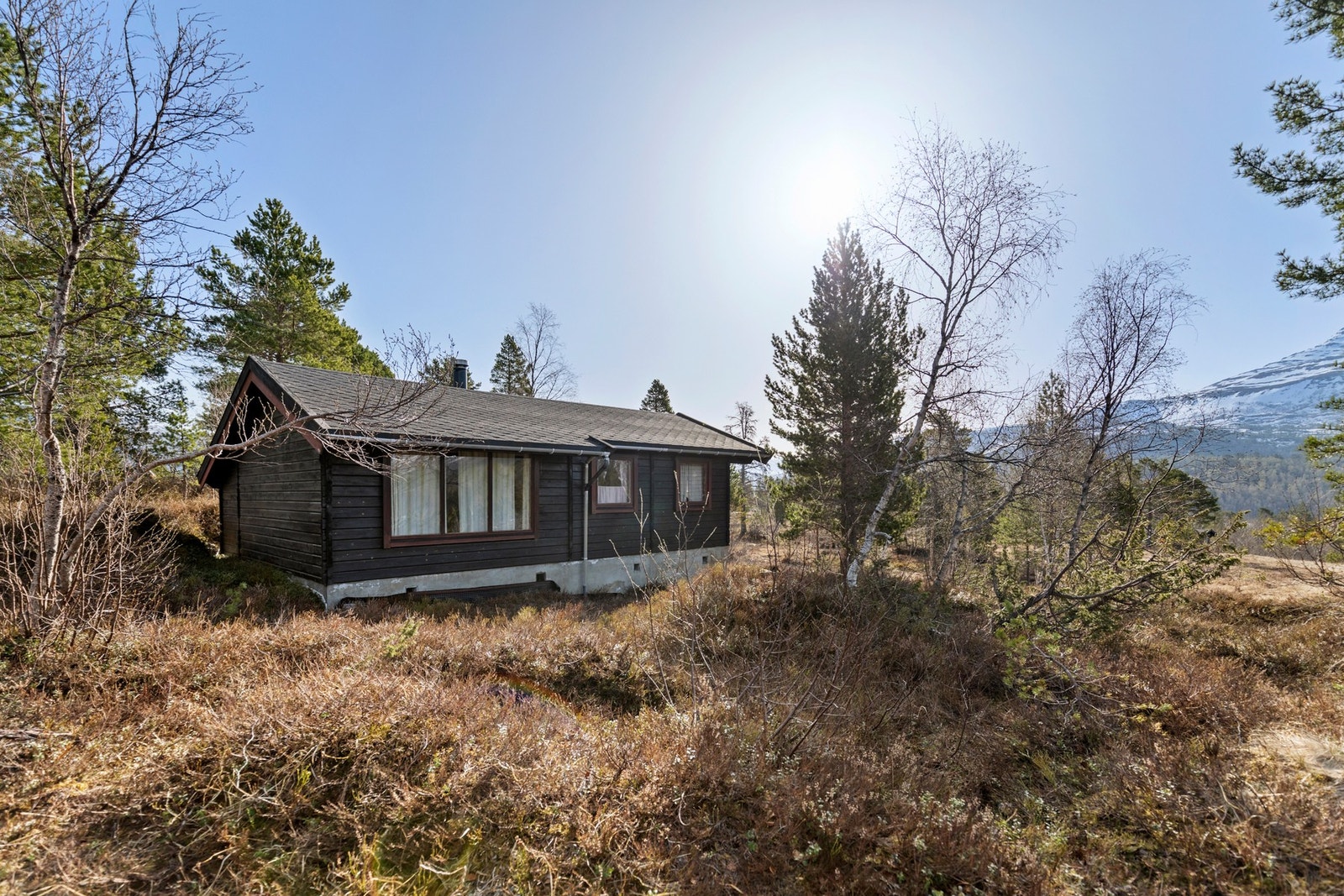 Velkommen til Nysætra! Galleribilde