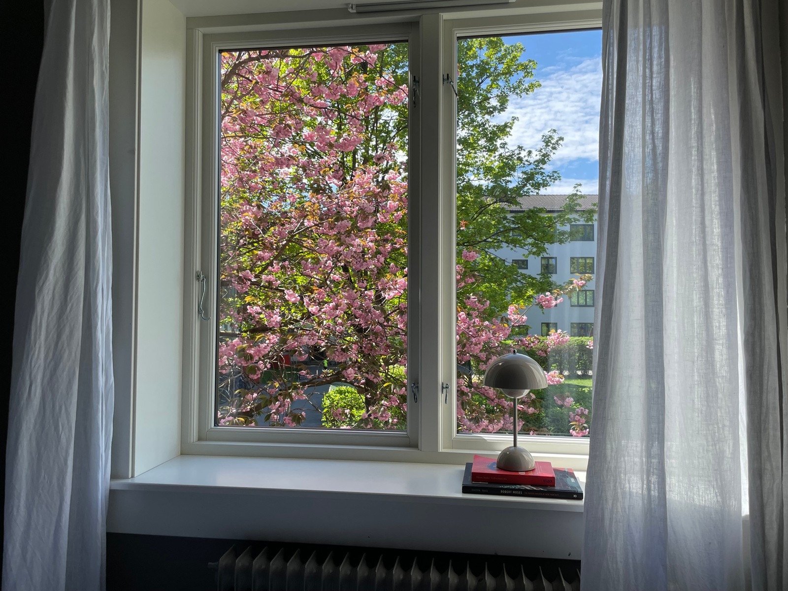 Tenk å våkne opp med dette utenfor vinduet. Det er jo bare nydelig. Galleribilde