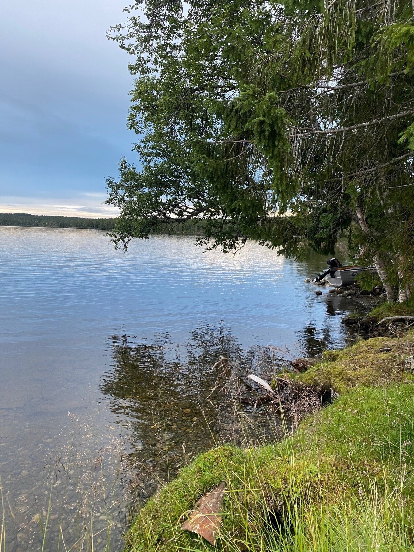 Selgers eget bilde av Sørungen. Galleribilde