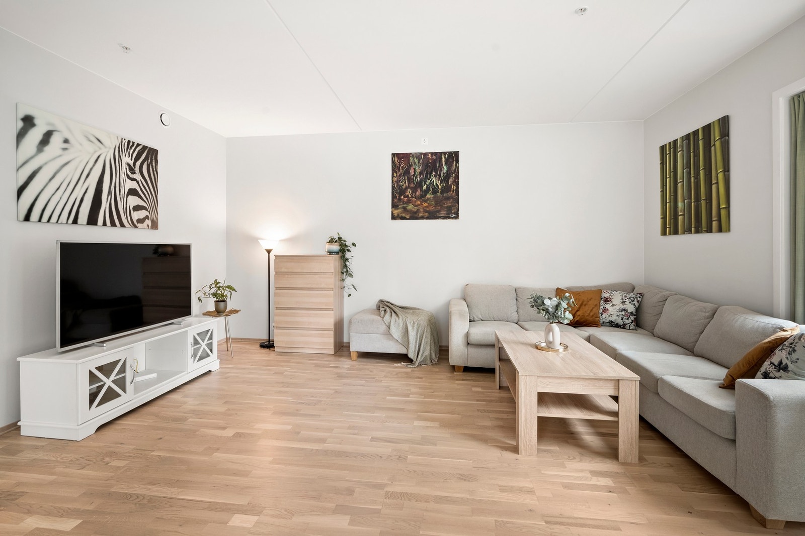 Stue med gode vindusflater Galleribilde