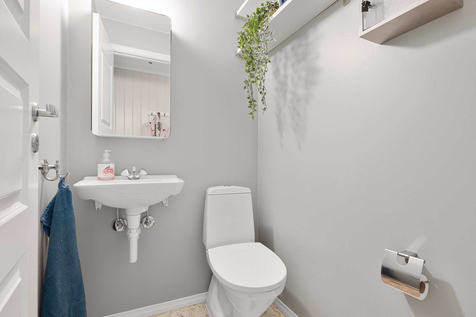 Gjestetoalett Galleribilde