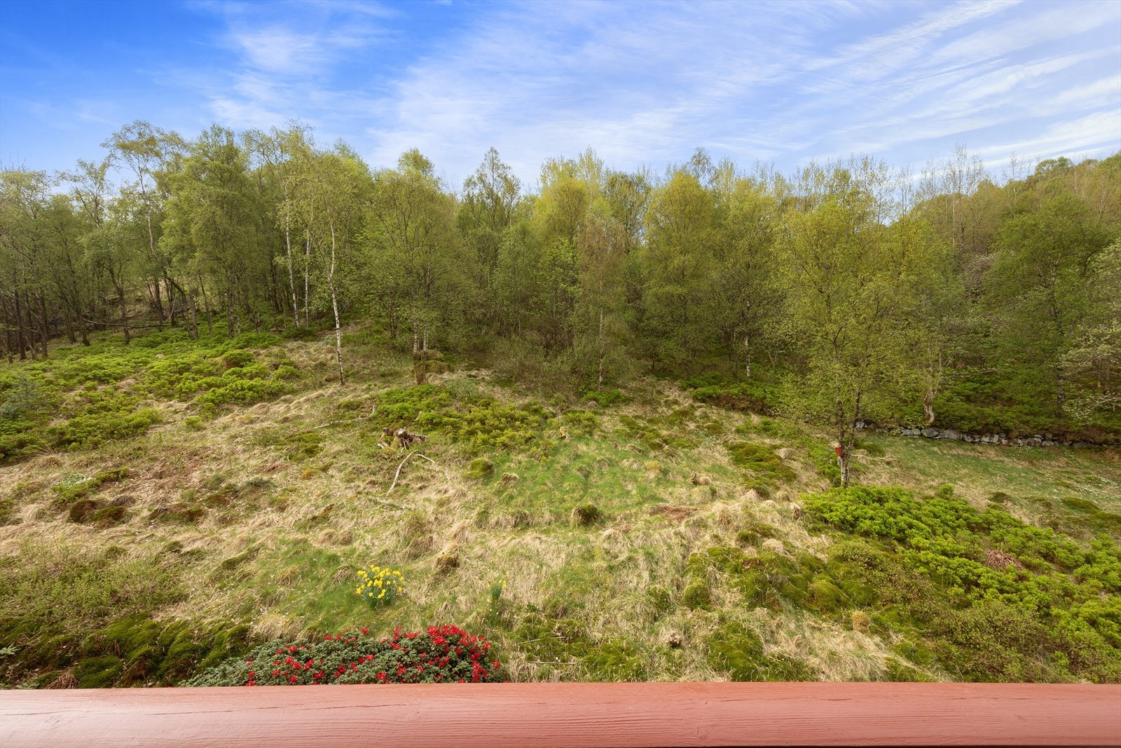 Turterreng like utenfor inngangdøren. Galleribilde