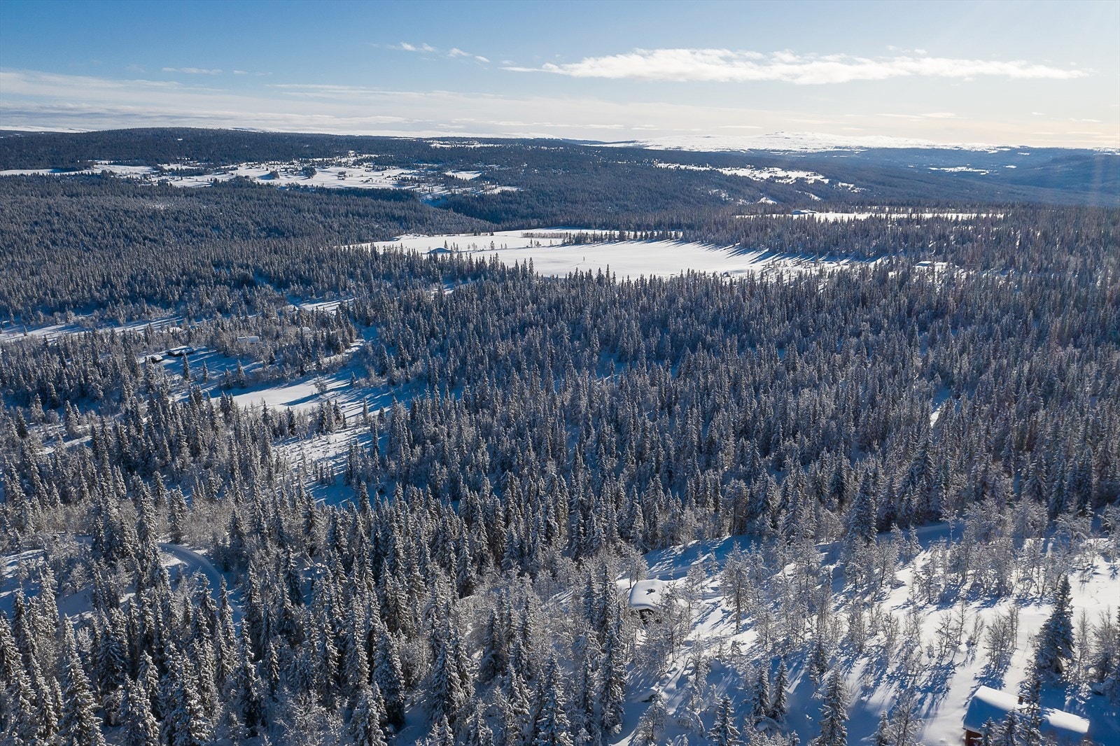 Gode muligheter for småviltjakt Galleribilde
