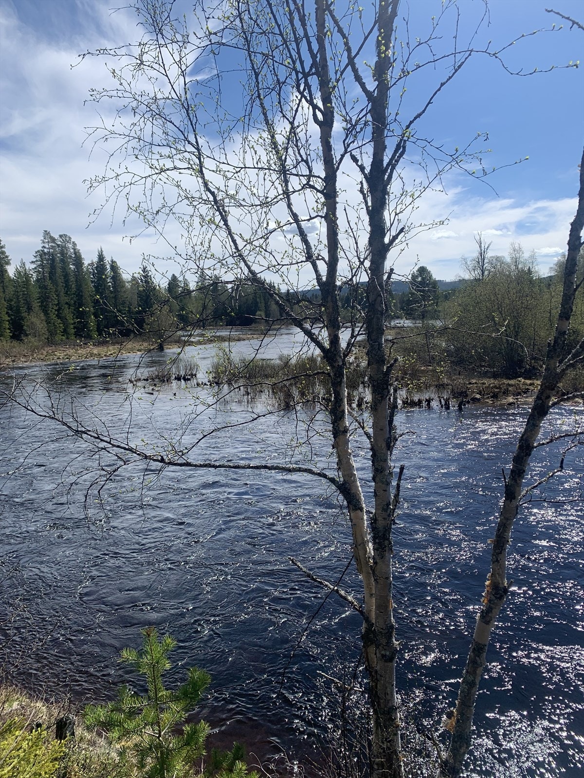 Nærområdet Galleribilde