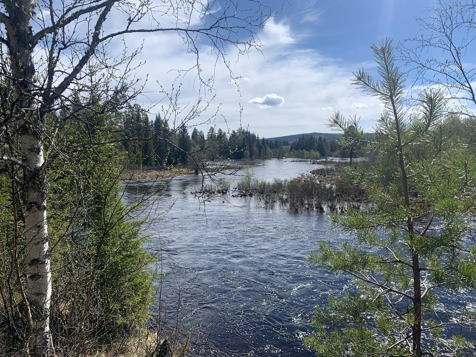 Nærområdet Galleribilde