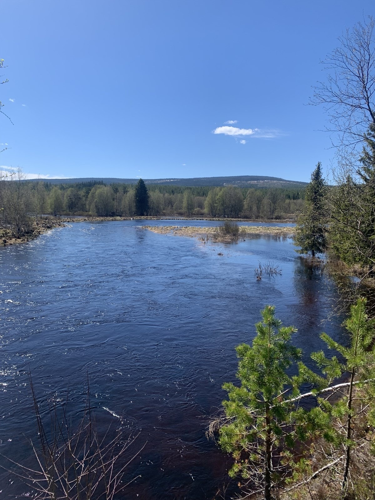 Nærområdet Galleribilde