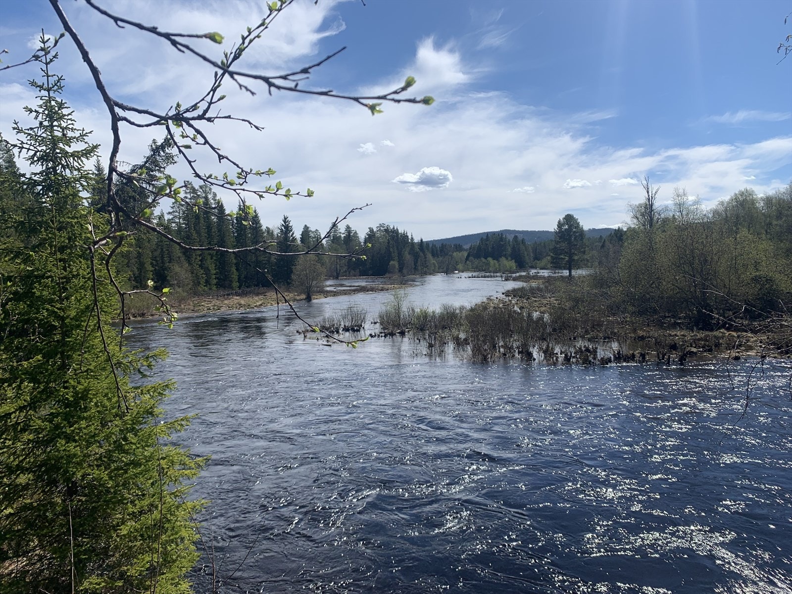 Nærområdet Galleribilde