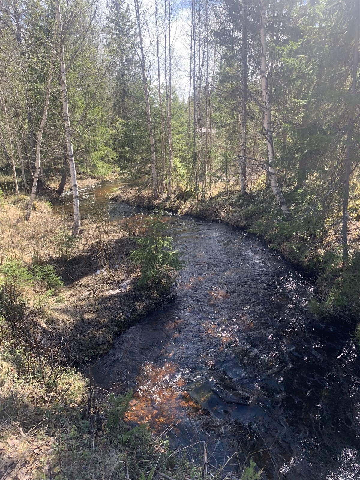 Nærområdet Galleribilde