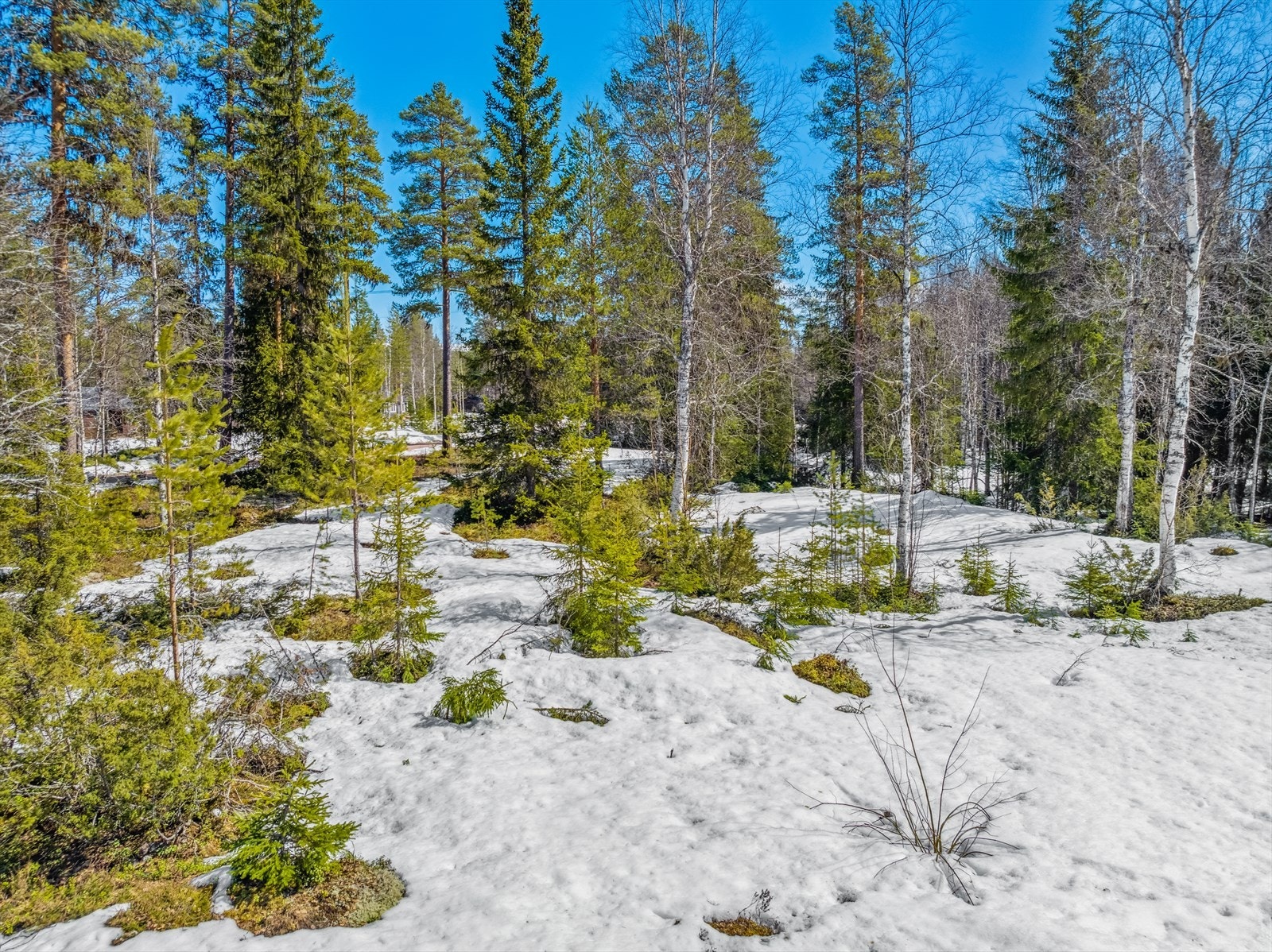 Går du med en drøm om å bygge deg en fritidsbolig på en romslig tomt i Ljørdalen? Galleribilde