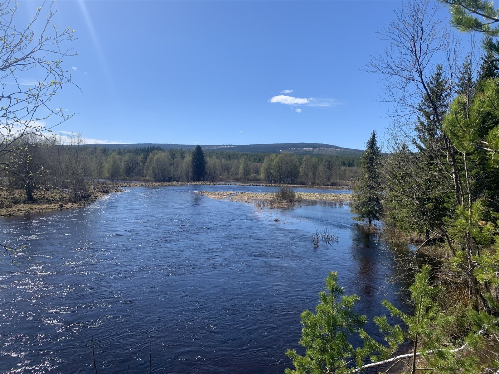 Nærområdet Galleribilde