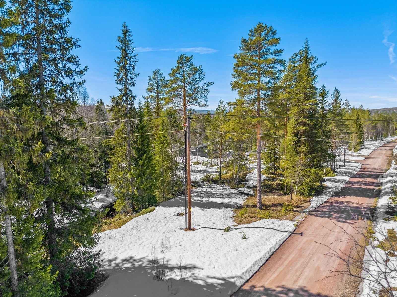 Tomten sett fra sør. Galleribilde