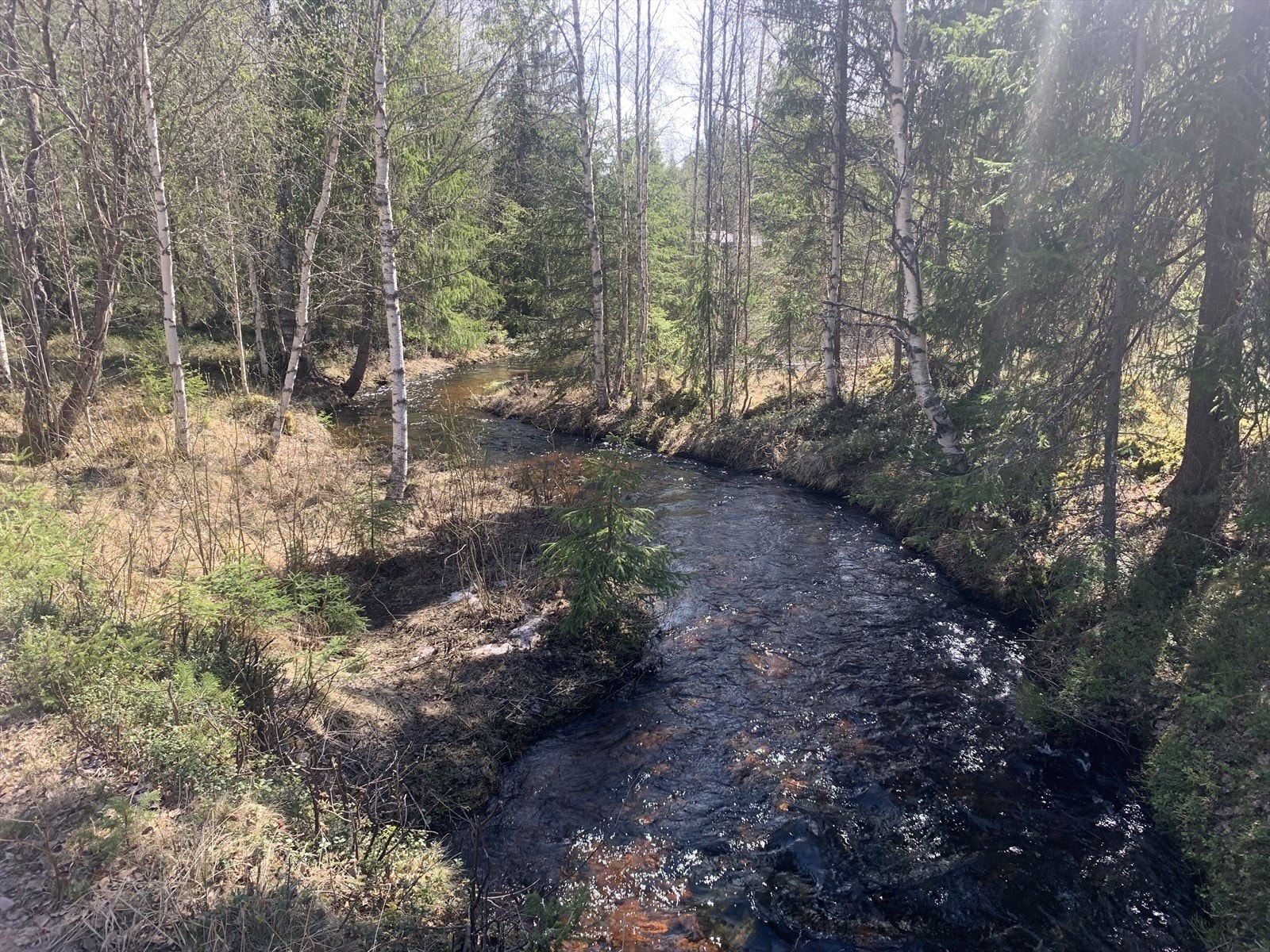 Nærområdet Galleribilde