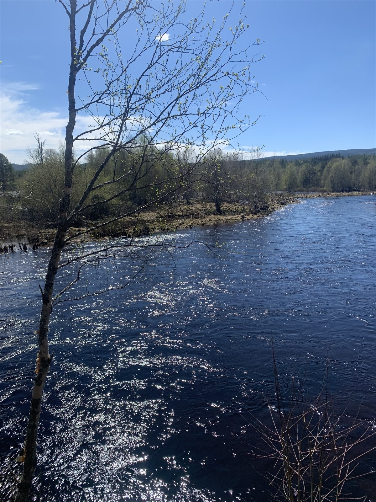 Nærområdet Galleribilde