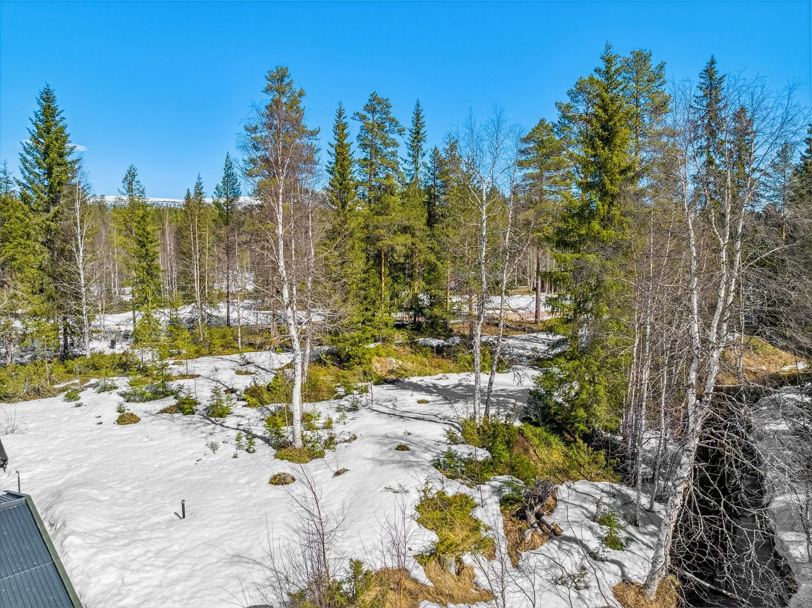 Tomten ligger i et vennlig, naturskjønt og åpent landskap med spredt skog og fine solforhold. Galleribilde