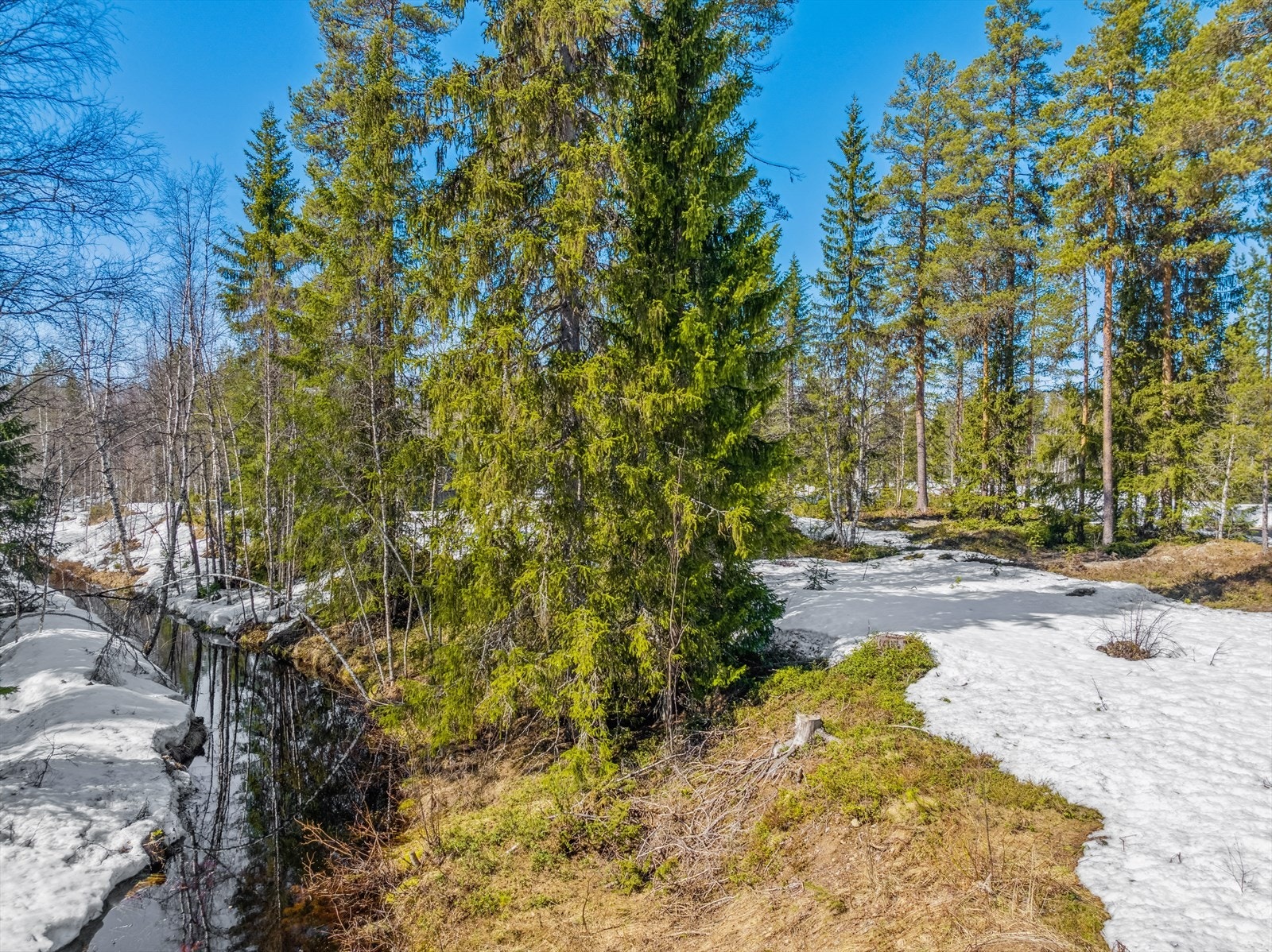 Et sjarmerende bekkefar renner ved tomtegrensen. Galleribilde