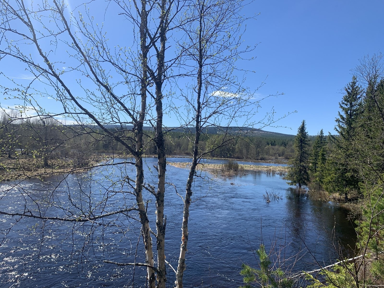 Nærområdet Galleribilde