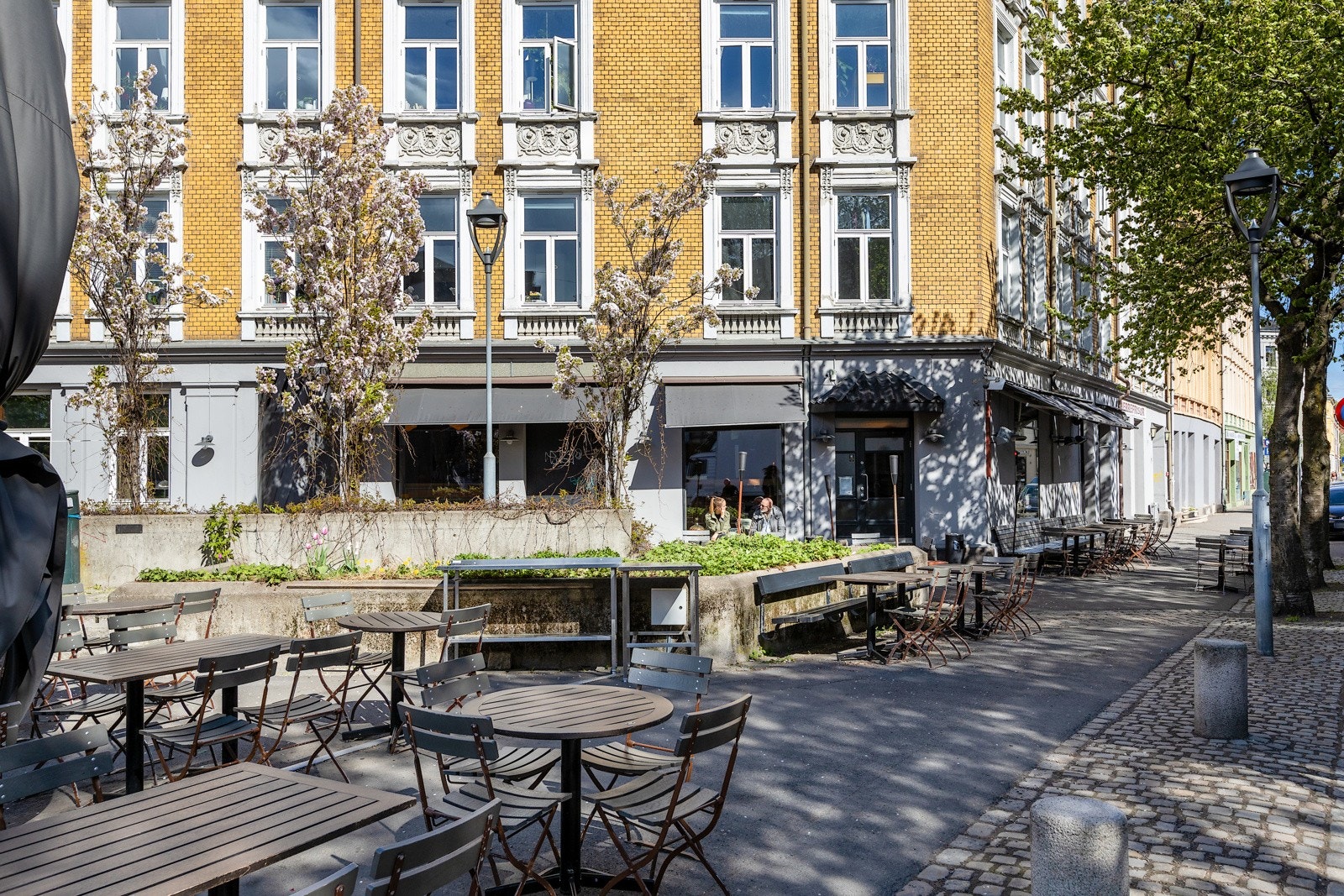 Grisen Galleribilde