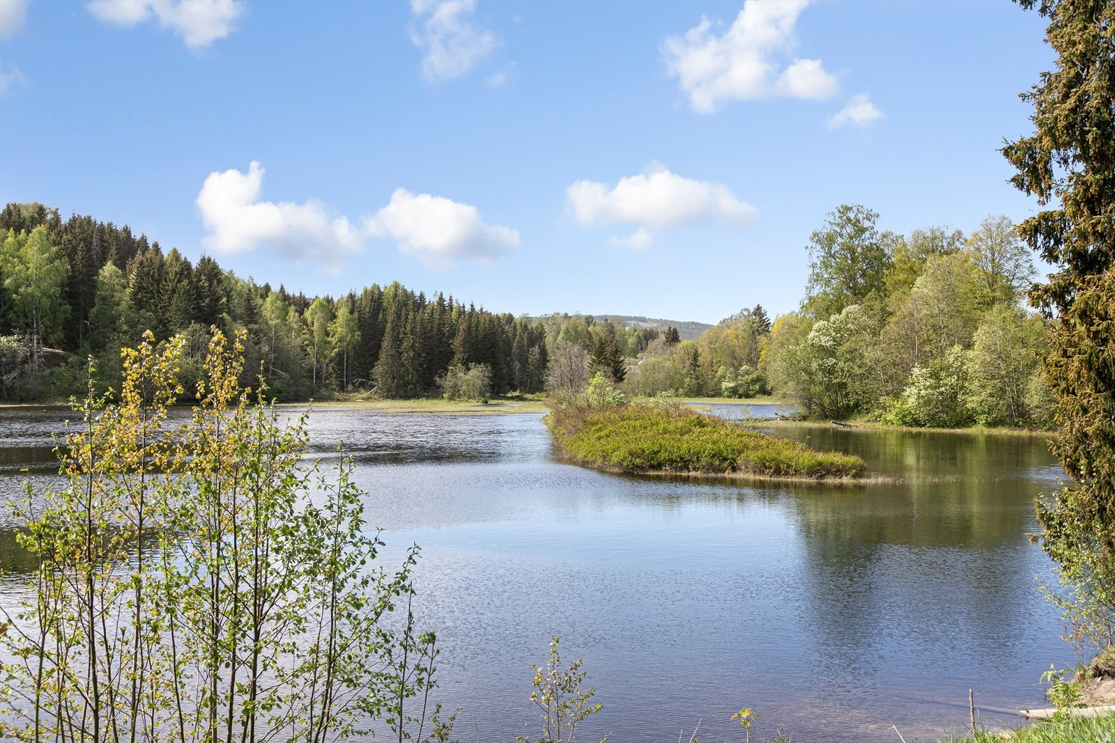 Sagdammen ligger ikke langt fra boligen. Galleribilde