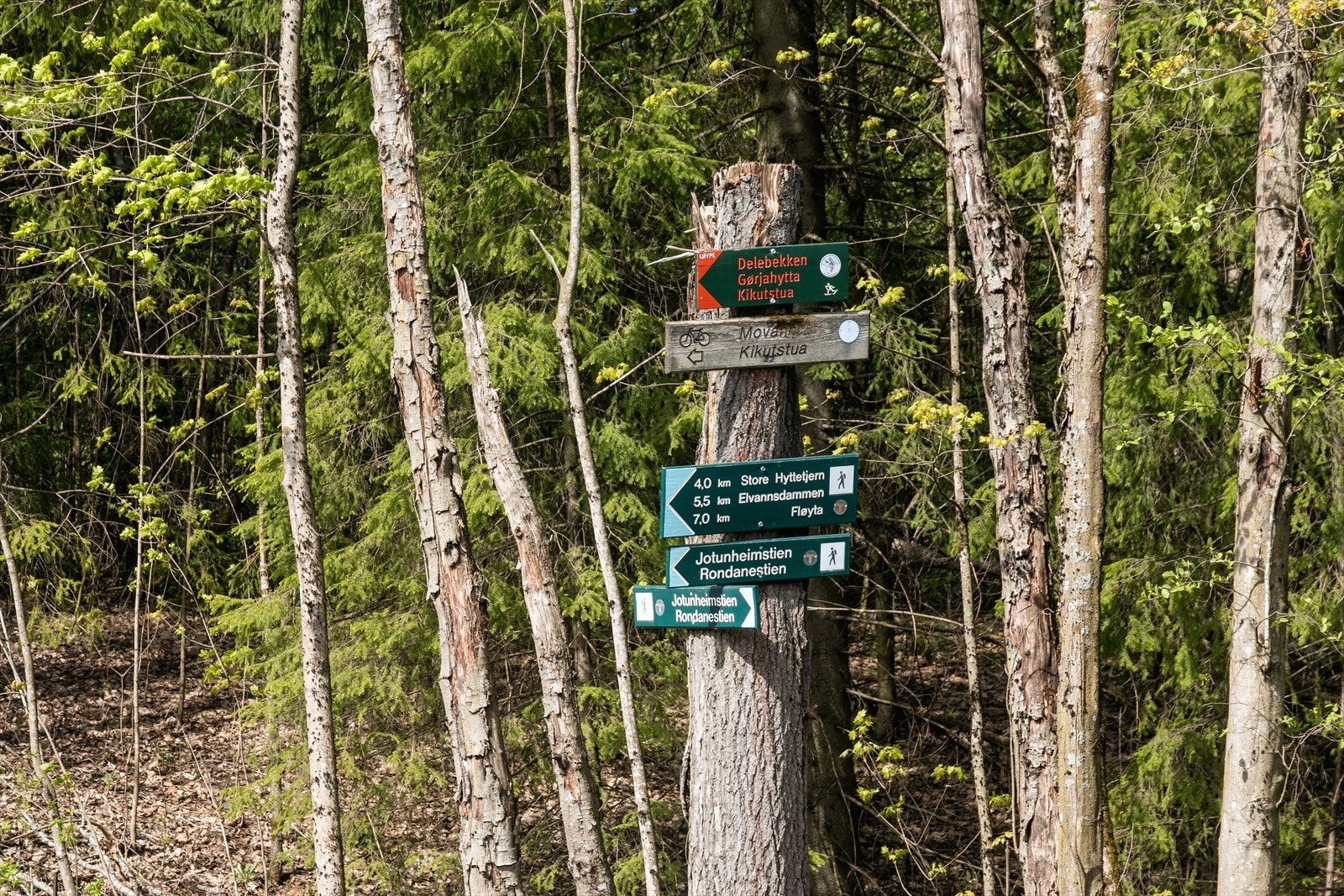 Nordmarka byr på flotte turmuligheter. Nærmeste turmål er Langvann og Elvann. Galleribilde