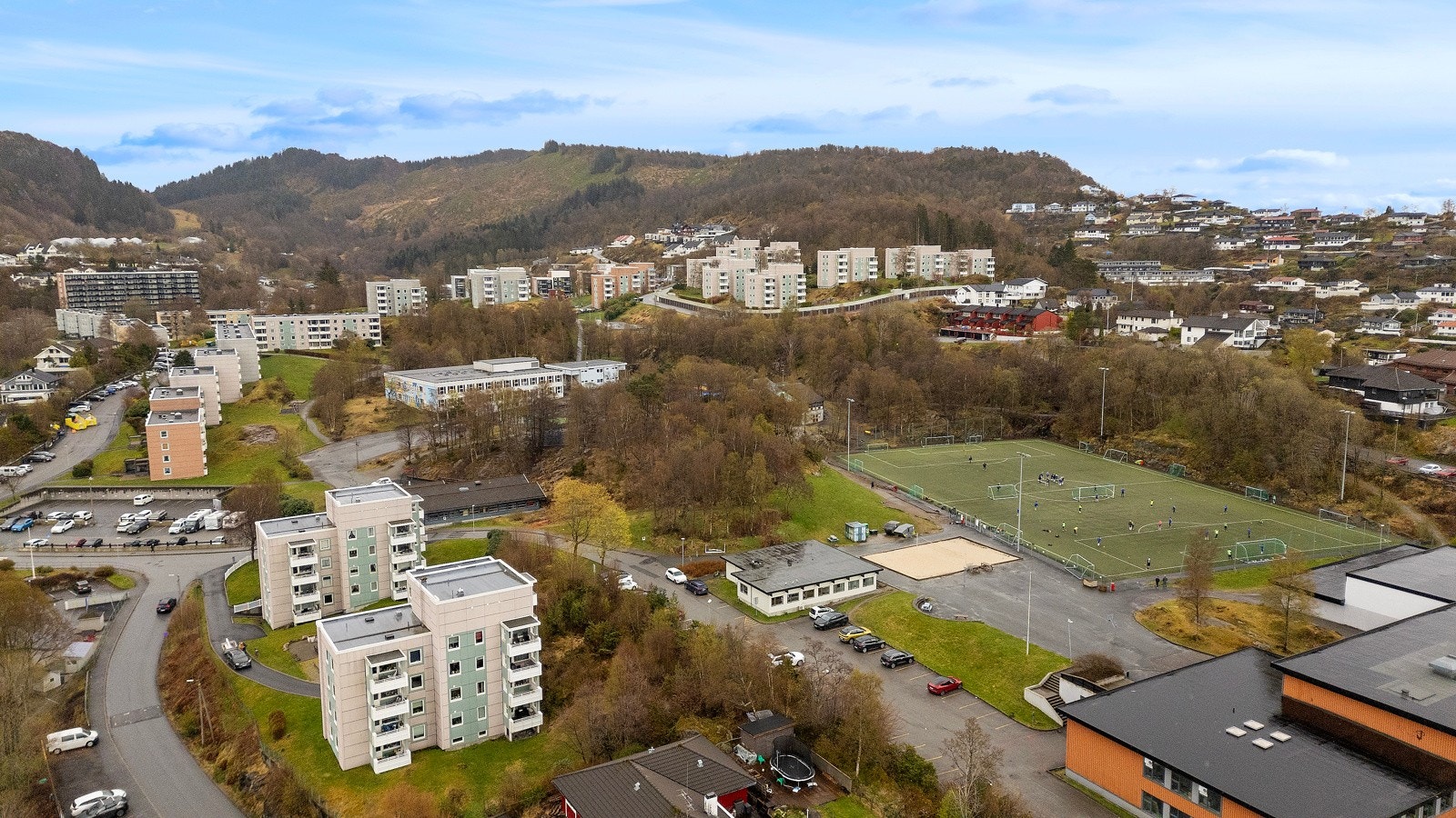Oversiktsfoto over nærområde. Galleribilde