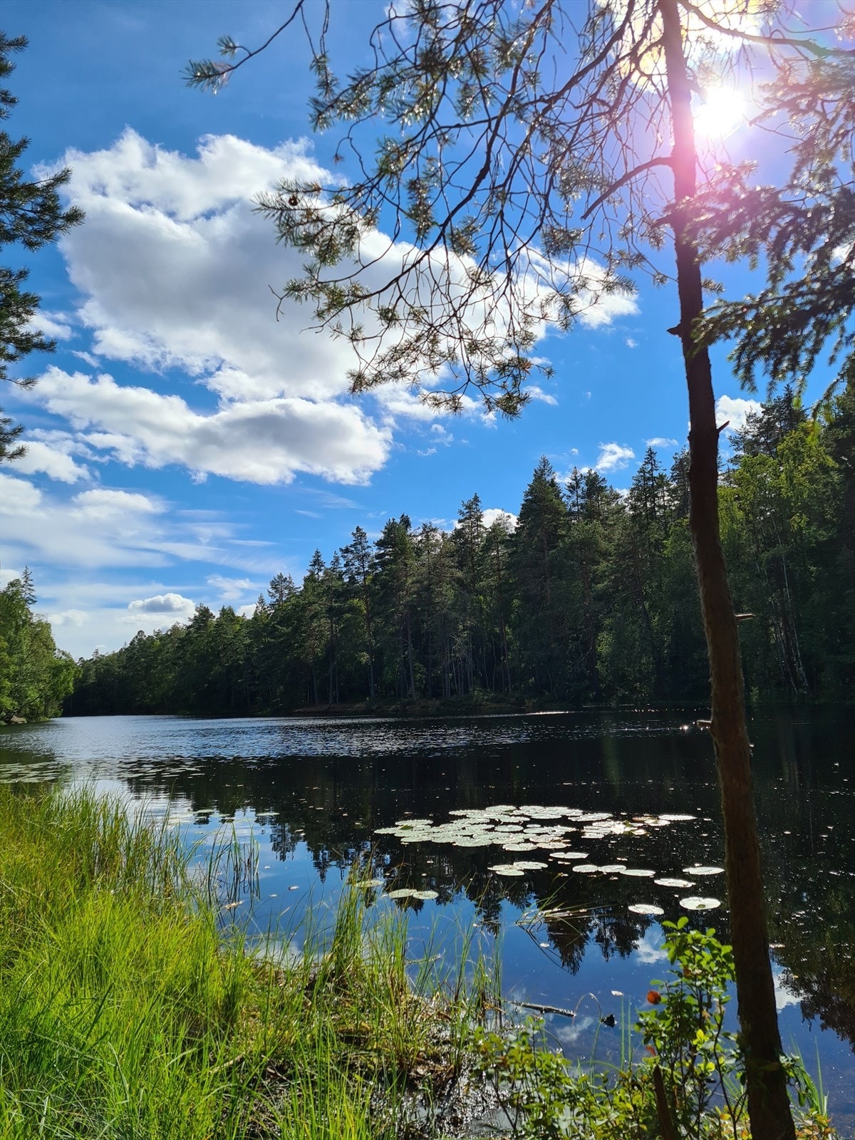 Vakre Nøklevann fra en solrik sommerdag.
Turen kan gå rundt hele Nøklevann, eller finne hundrevis av andre spennende stier i Østmarka. Galleribilde