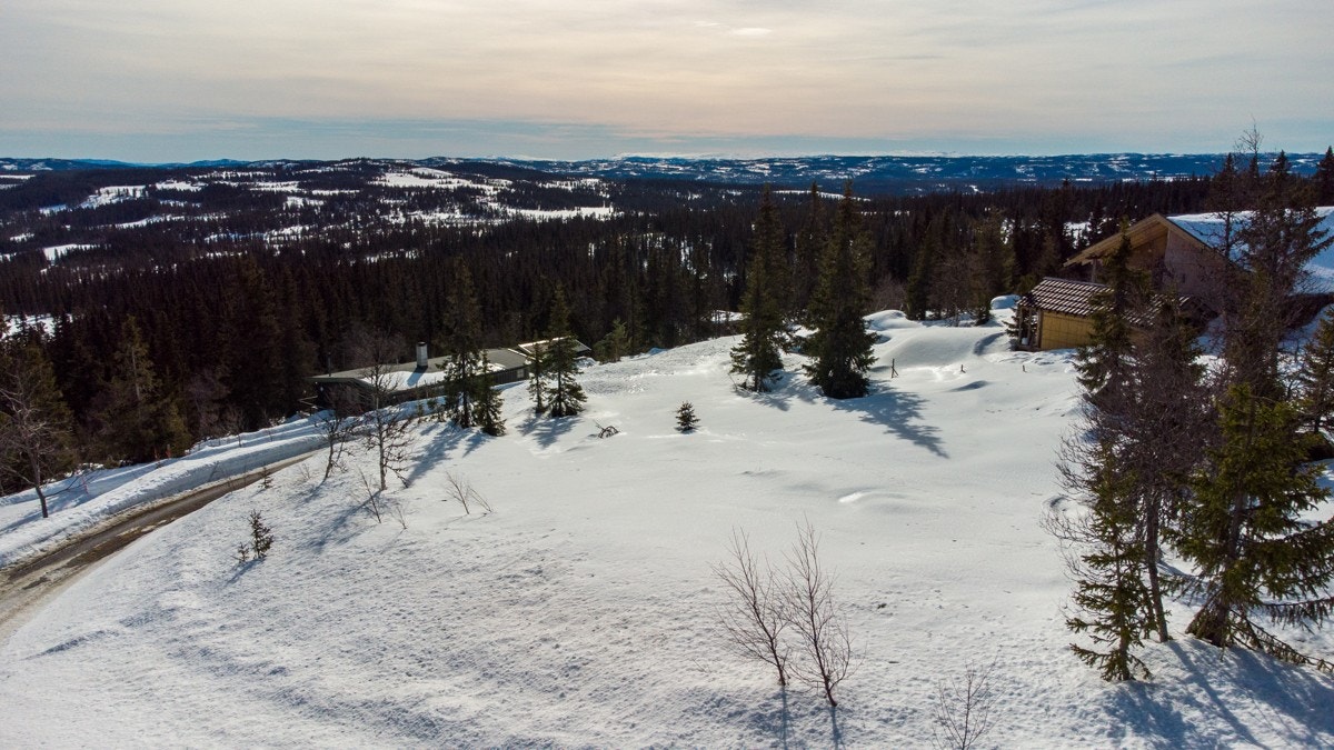 Vann kan hentes fra felles vannpost i feltet. Vannet kommer fra borebrønn og aggregatet er plassert i et lite hus mellom Felesetervegen 42 og 46 Galleribilde