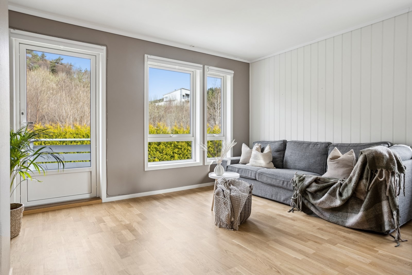 Store vindusflater som gir godt med naturlig lys Galleribilde