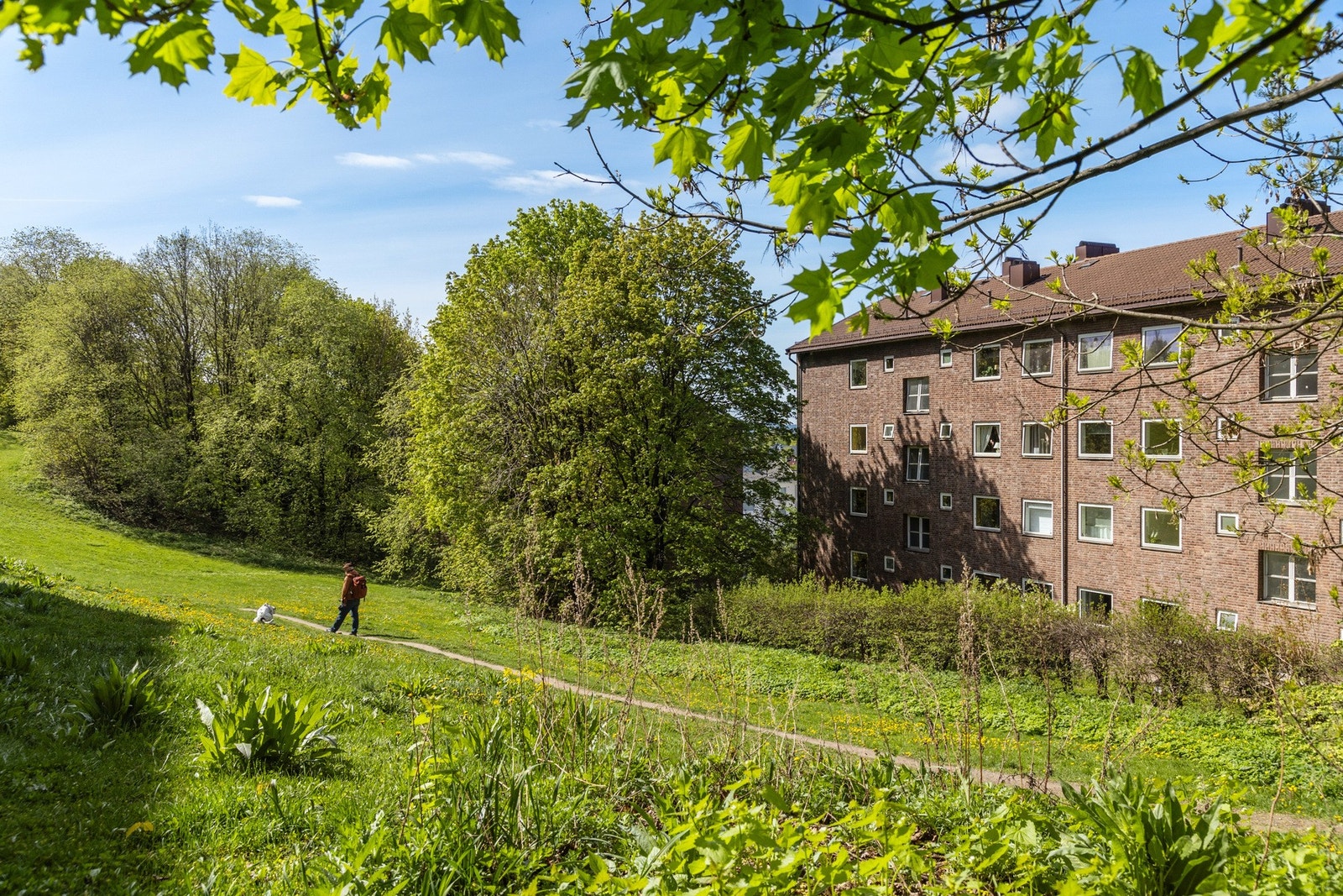 Rett utenfor døren din har du direkte tilgang til parken! Galleribilde