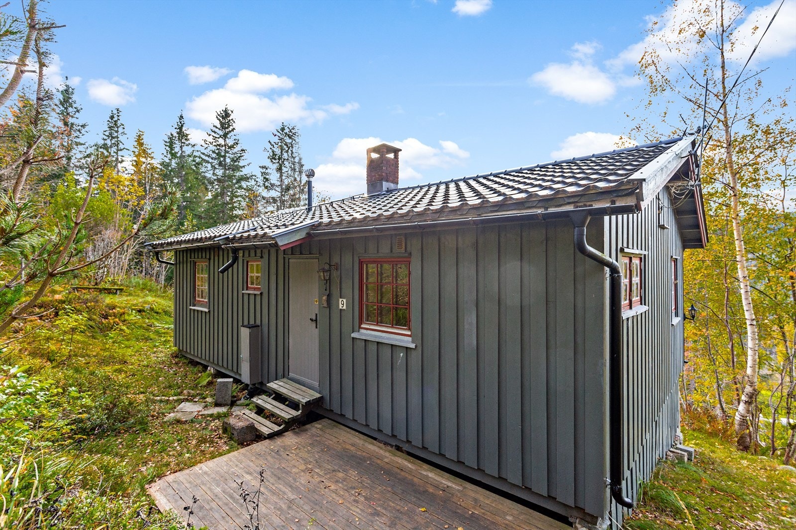 Bakside av hytten med tilgang til skog og turstier Galleribilde