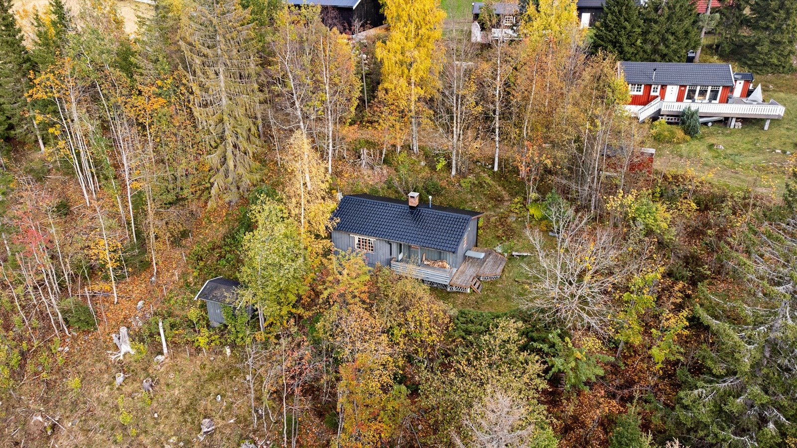 Eiendommen sett fra luften med nærliggende natur Galleribilde