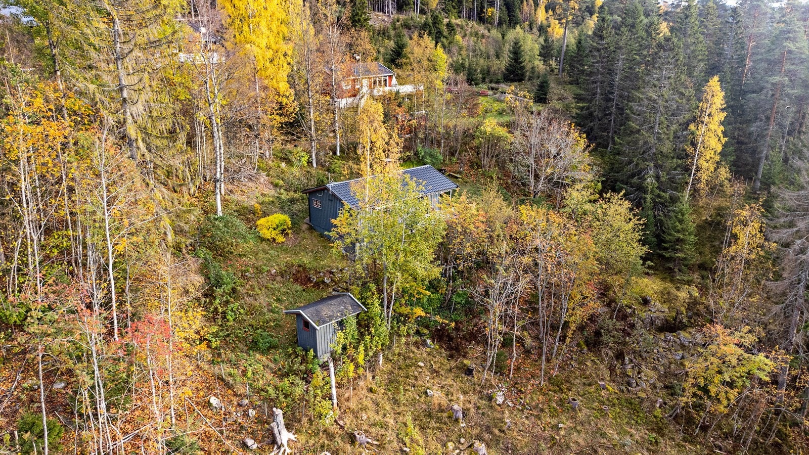 Oversiktsbilde av eiendommens plassering i skogkanten Galleribilde