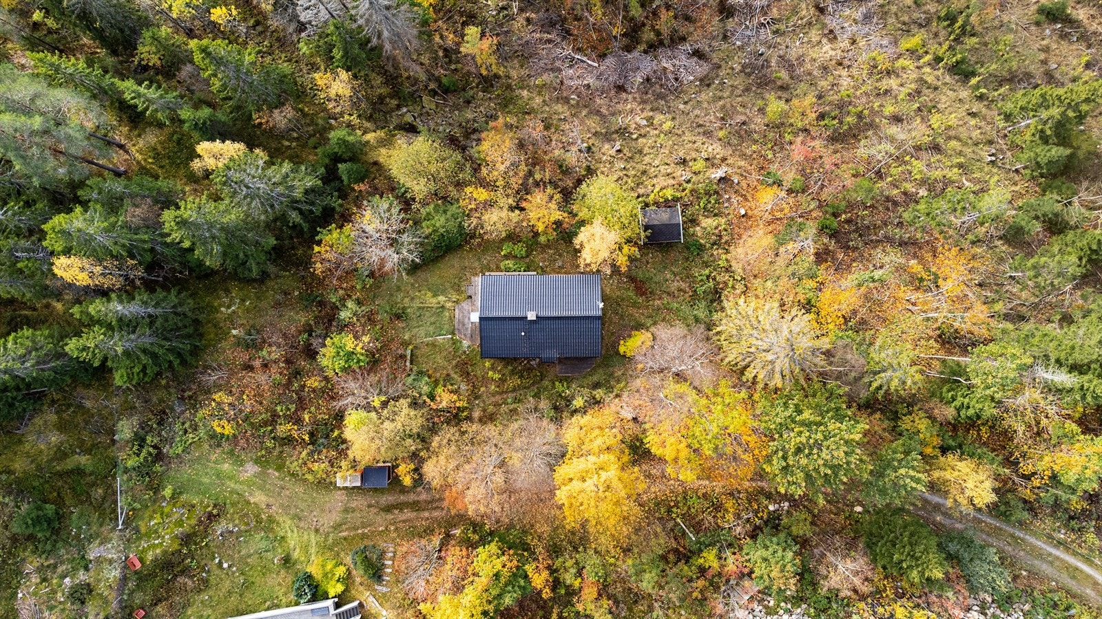 Luftfoto av hytten omgitt av høstfarget natur Galleribilde