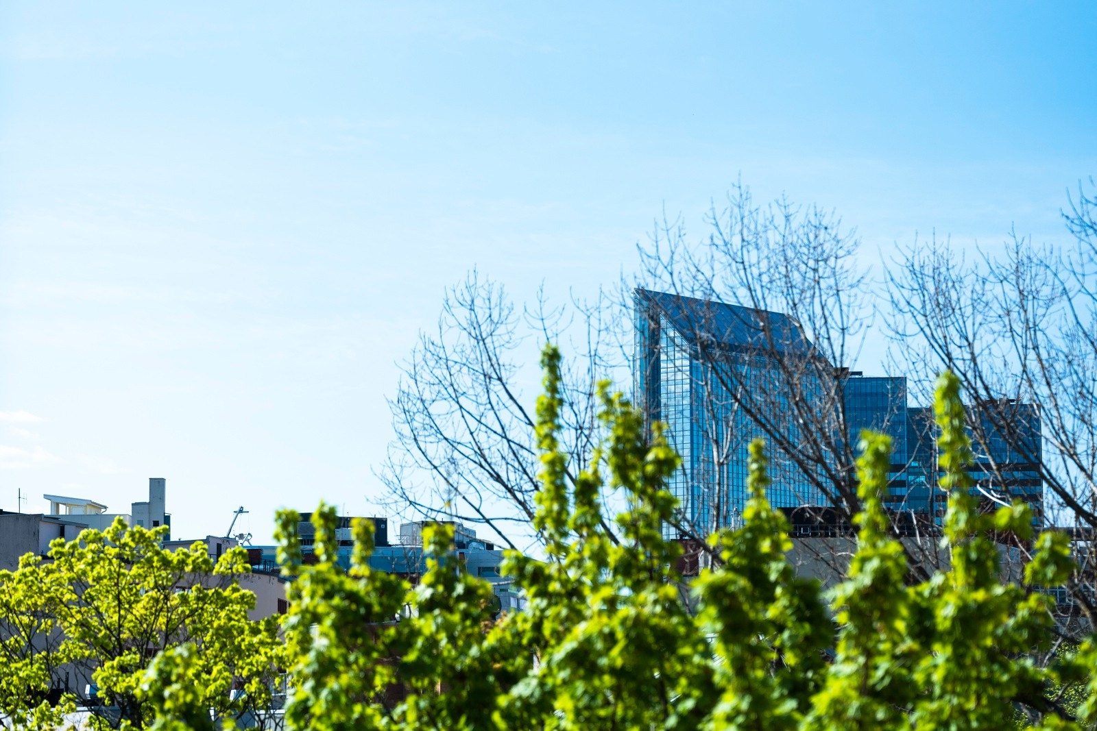 Utsikt mot Plaza i sentrum og grøntområder langs Akerselva i front. Galleribilde