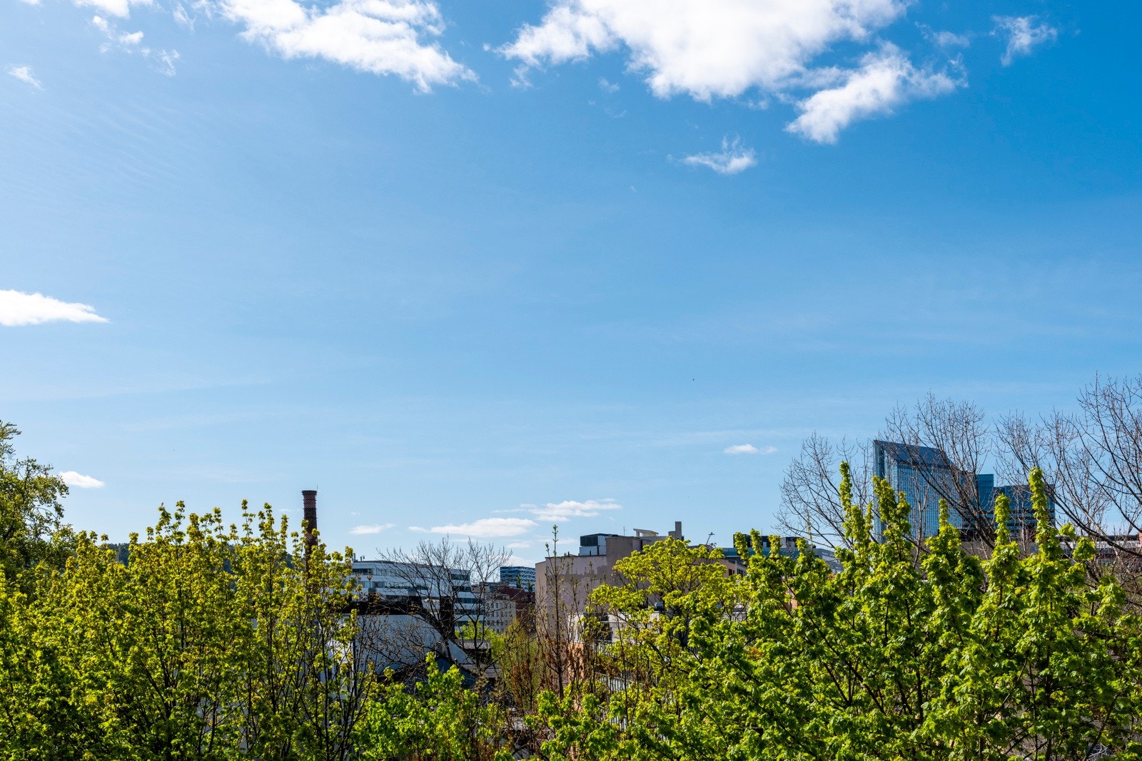 Leiligheten har en rolig og tilbaketrukket beliggenhet, vendt mot indre gårdsrom. Galleribilde