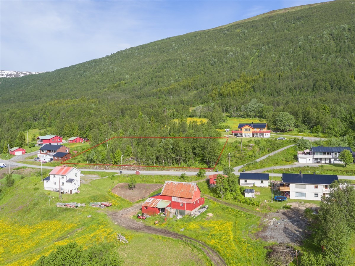 Omtrentlig skissering av tomtegrense