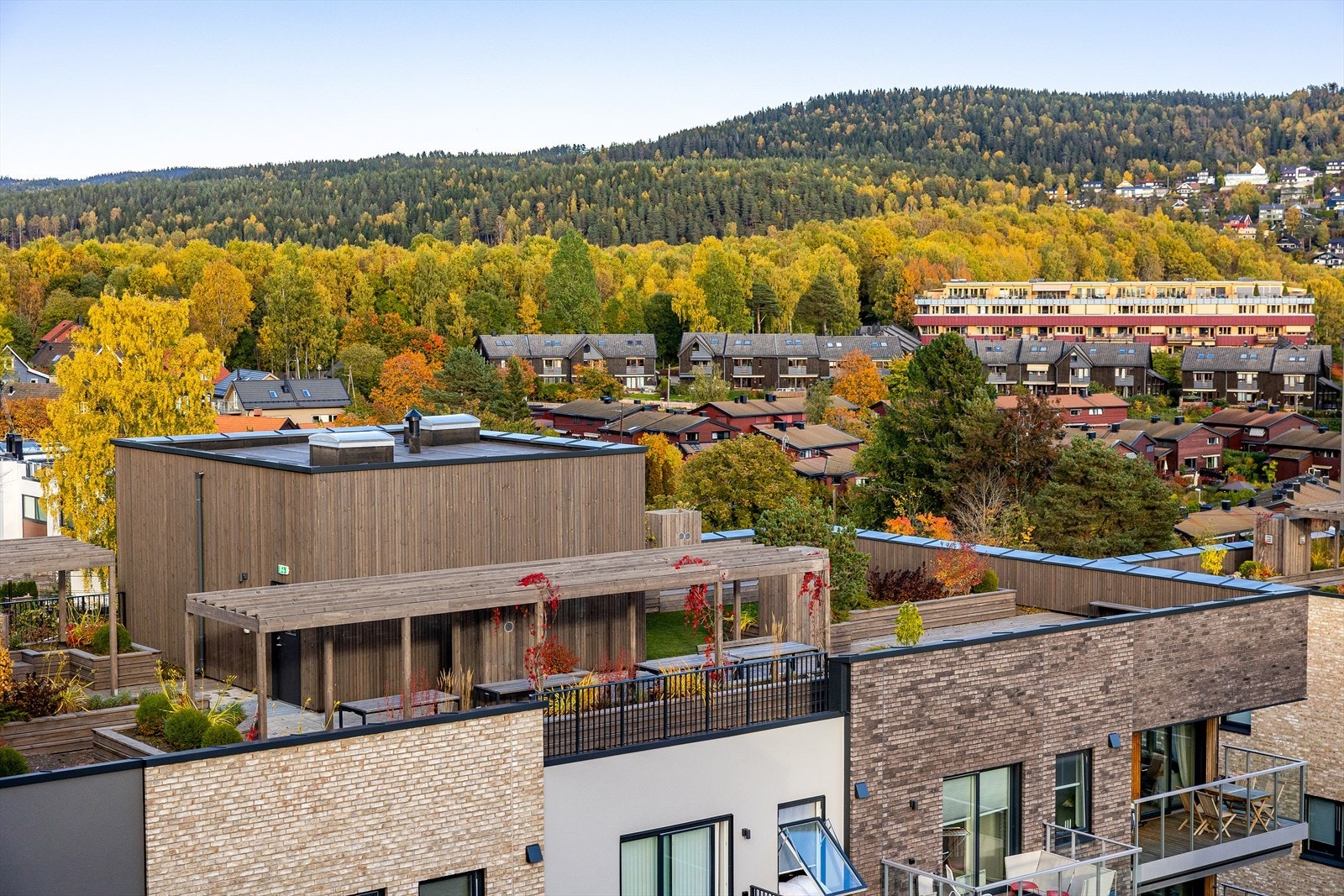 Felles takterrasse med utsikt. Galleribilde