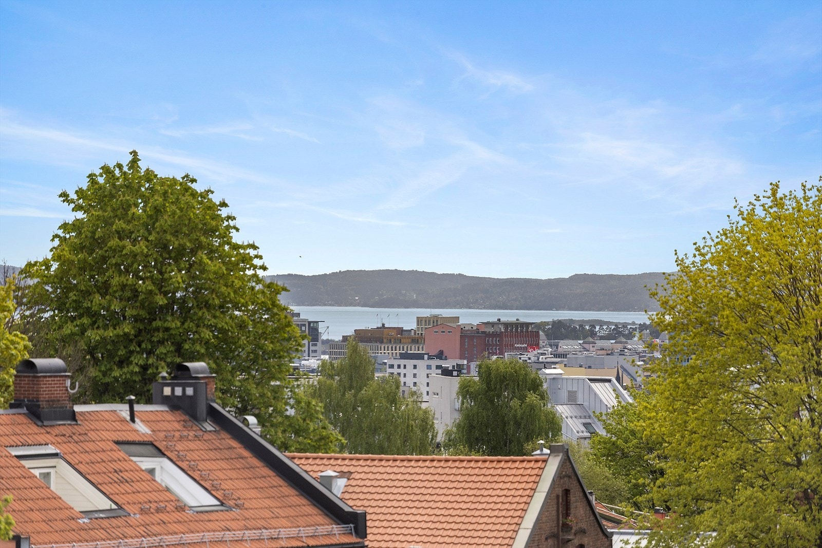 Flott utsikt mot fjorden. Galleribilde