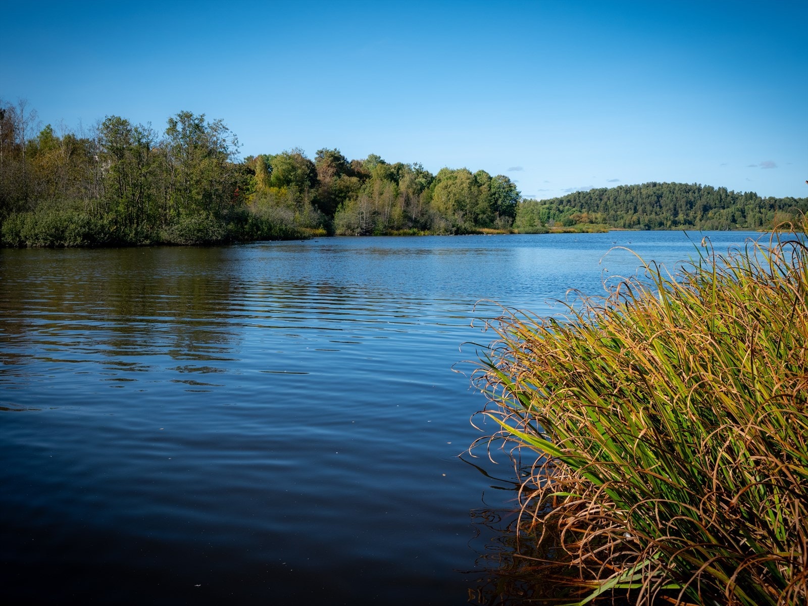 Østensjøvannet er et populært område for mosjon og rekreasjon. I tillegg er det kjent for sitt yrende fugle- og dyreliv. Galleribilde