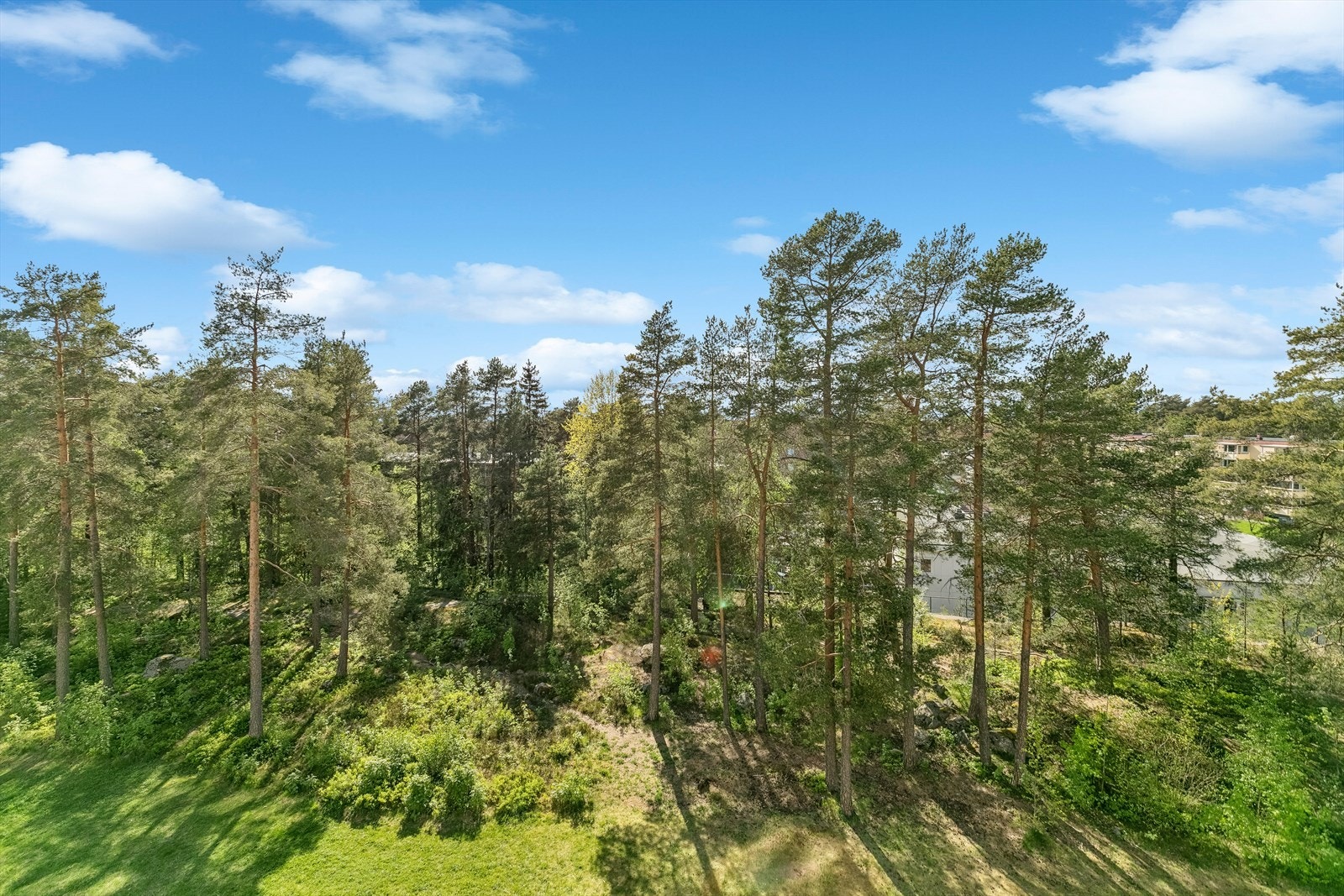 Her bor du uten innsyn med et hyggelig utsyn mot ett lite skogholdt. Galleribilde