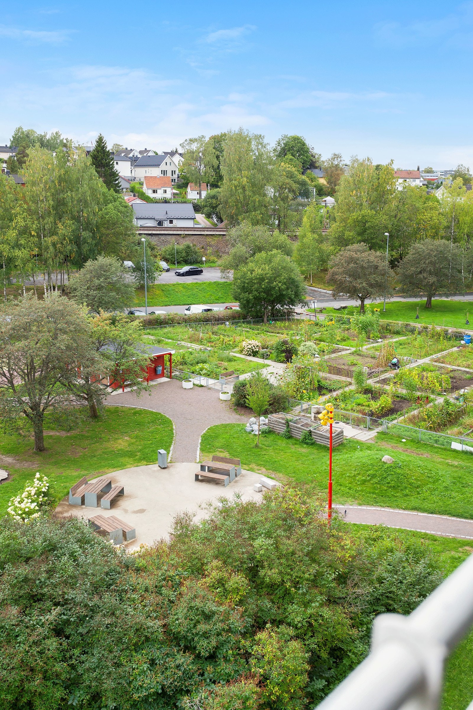 Parsellhagen på Haugenstua er en av Groruddalens største parsellhager. Denne er frodig og her dyrkes det masse forskjellig vekster, alt fra urter til poteter og løk. Galleribilde